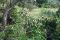 2012-06-06-07 - (107)